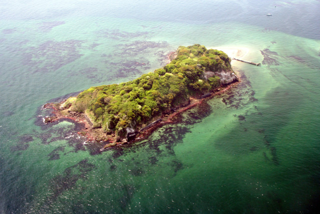 猿島「無人島猿島航空写真」